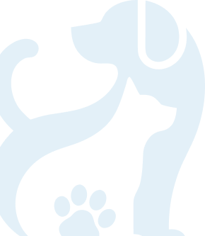 dog-logo